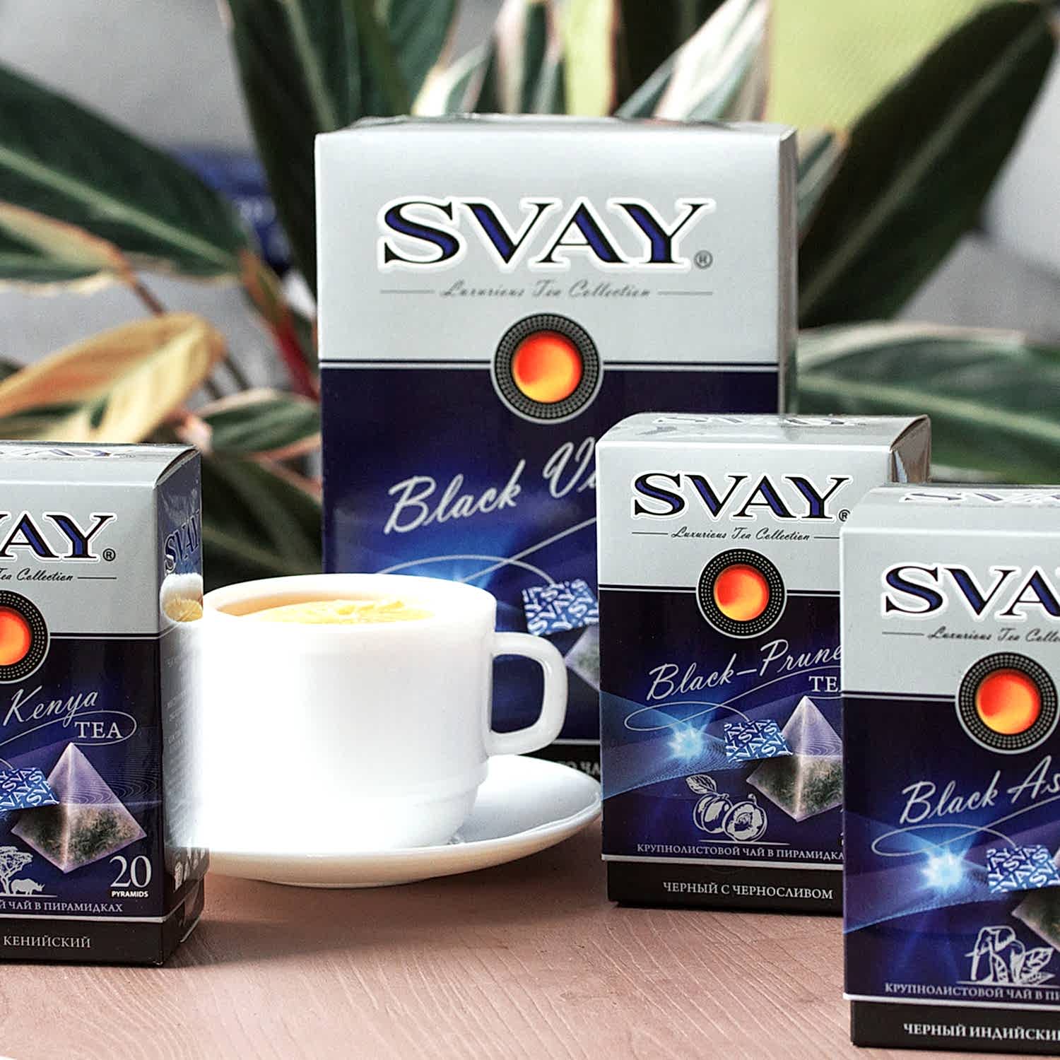 Svay